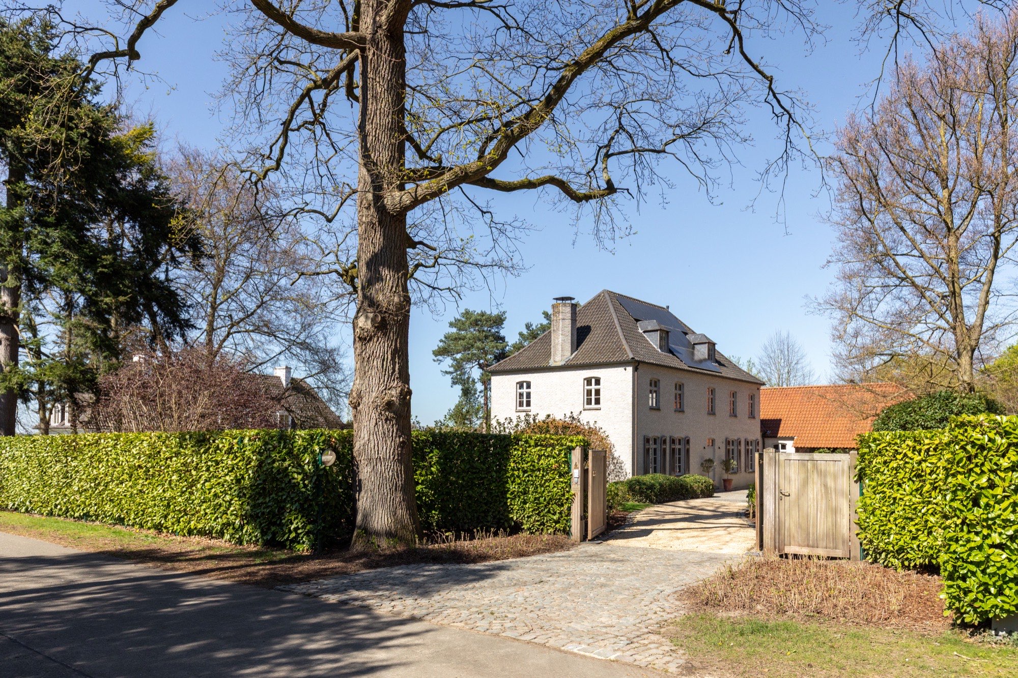 Aankomst via de oprijlaan